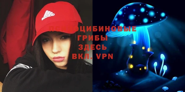 стафф Аркадак