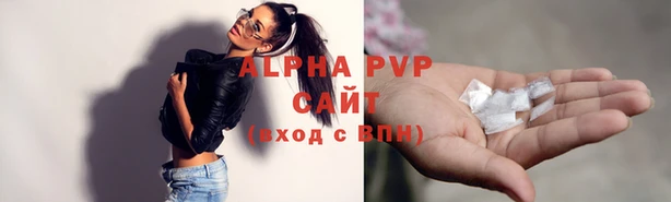 гашик Арсеньев