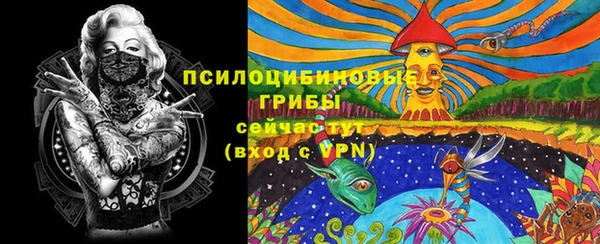 стафф Аркадак