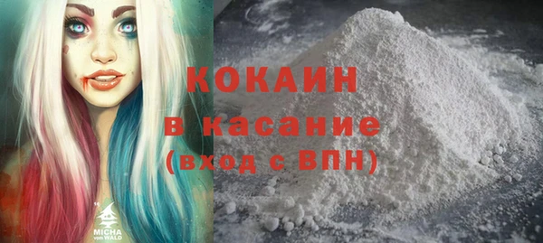 гашик Арсеньев