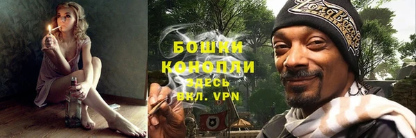 гашик Арсеньев