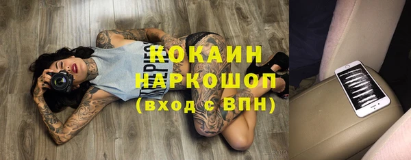 гашик Арсеньев