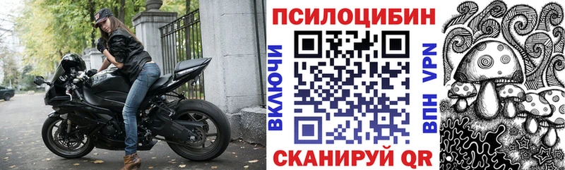 Галлюциногенные грибы мицелий  Саяногорск 